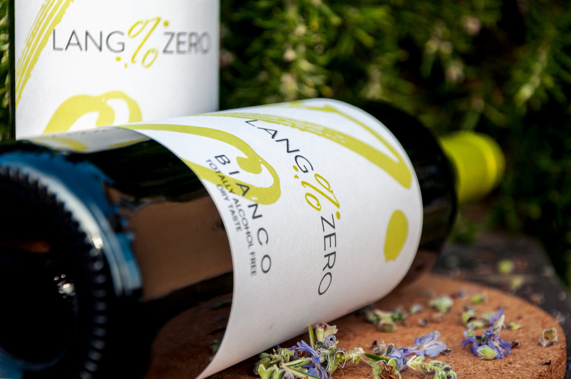 Federico Carpino  2019